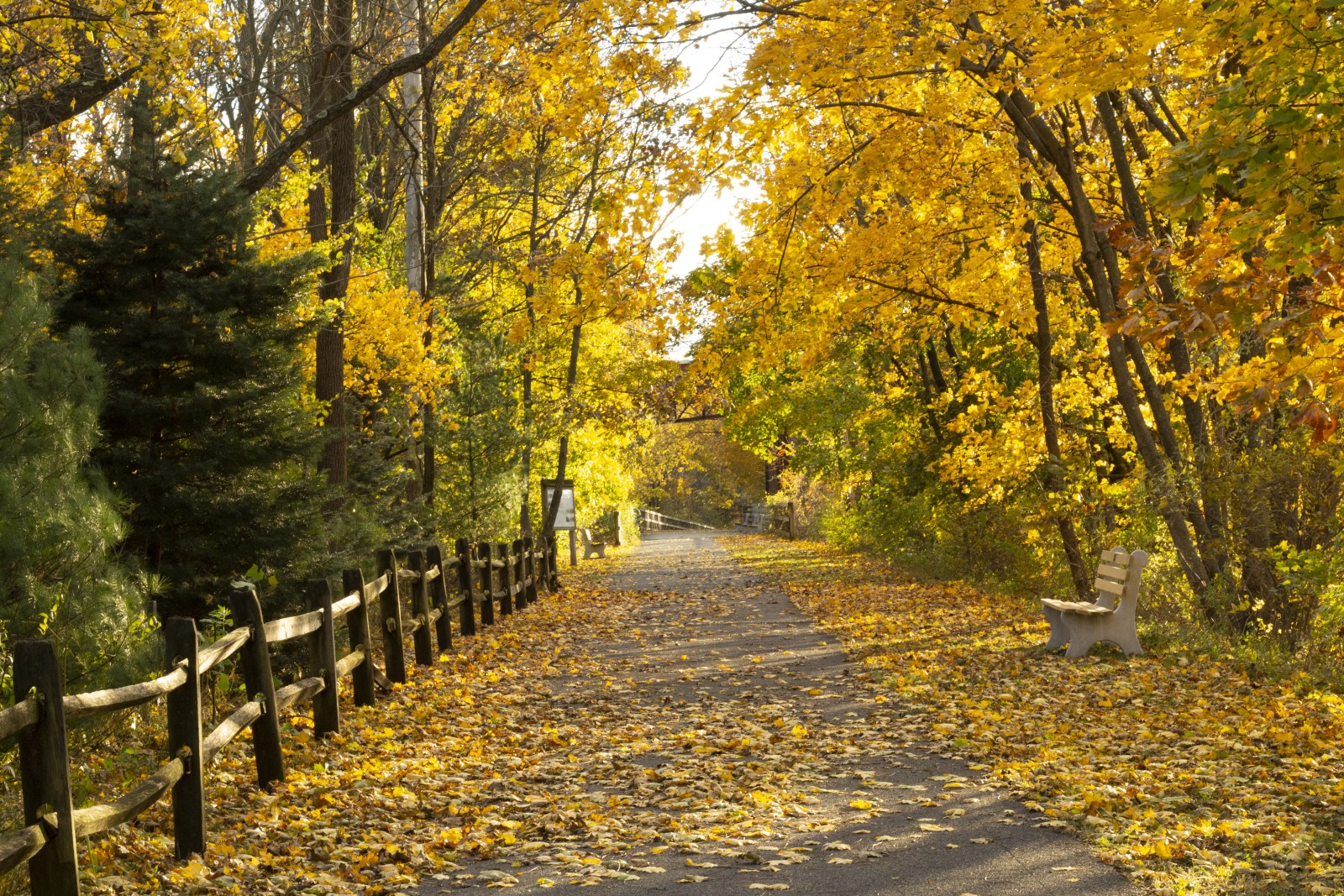 Autumn in Lebanon Valley